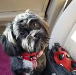 Profile Picture of LaDonna Bowman (@ladonna.bowman.94) on Facebook