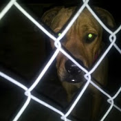 Profile Picture of JAMES CARRIER (@jamescarrier6803) on Youtube