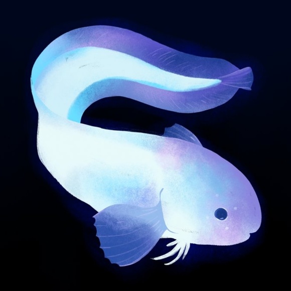 Profile Picture of Carramaena Lemmel (@lillyspring657) on Poshmark