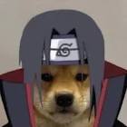 Abonne toi bg (@elisa.chn)... - Tiktok Profile Picture of   Abonne toi bg (@elisa.chn)... (@elisa.chn) on Tiktok