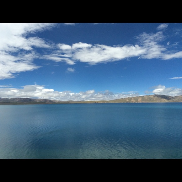 Profile Picture of Winnie Huang (@winniehuang2017) on Poshmark