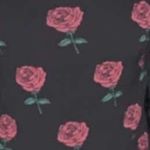 Profile Picture of Paul Renne (@swampmanpaul) on Instagram