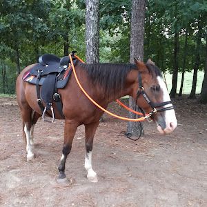 Profile Picture of andrewwinfrey4 (@andrewwinfrey4) on Tiktok