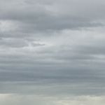 Dee Payne - Instagram Profile Picture of Dee Payne (@deepayne21) on Instagram