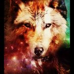 Profile Picture of Brandon Caster (@brandoncasterbmc) on Instagram