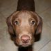Profile Picture of Danielle Kidwell (@daninickel7) on Pinterest