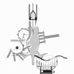 JUAN JOSE lopez silva - Flickr Profile Picture of JUAN JOSE lopez silva (@topgrupollo M?xico) on Flickr