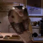 Profile Picture of doranna (@@doranna) on Tiktok