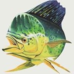 Scott Hesse - Instagram Profile Picture of Scott Hesse (@body_and_soul_offshore) on Instagram