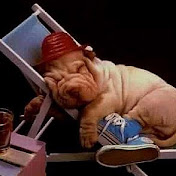 Profile Picture of Alexander Pfeifer (@alexanderpfeifer1016) on Youtube