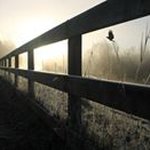 Profile Picture of Joel Toves (@joeltoves) on Instagram