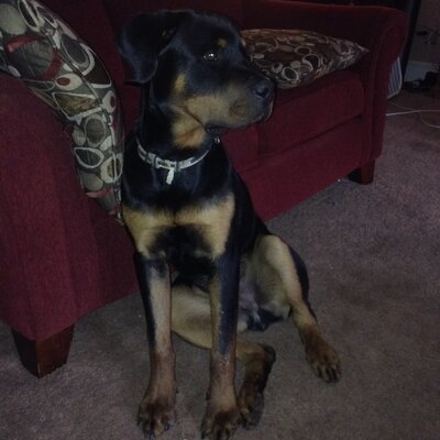 Profile Picture of Michael (@mt228stears) on Twitter
