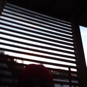 Profile Picture of Lisa Springer (@LisaSpr56534978) on Twitter