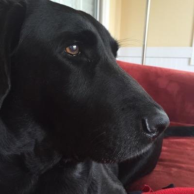 Profile Picture of John Felts (@jedijohnf) on Twitter