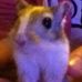Profile Picture of Cookie Dough Ege (@cookiedough.ege) on Facebook