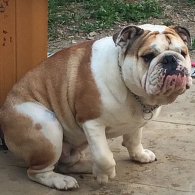 Profile Picture of Scott (@lucia_scotty) on Twitter