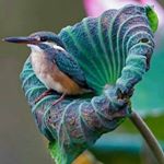 Antonio Lans - Instagram Profile Picture of Antonio Lans (@antoniolans01) on Instagram