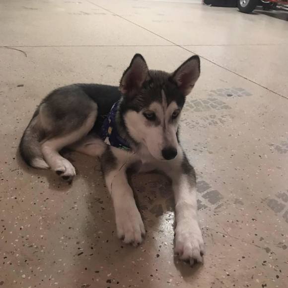 Profile Picture of David Mayorga (@mayorgadavid46) on Poshmark