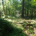 Profile Picture of Alex McLauchlin (@discgolf_scrapbook) on Instagram