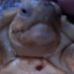 Profile Picture of Jonathon Pritchard (@jonathon.pritchard.3) on Facebook
