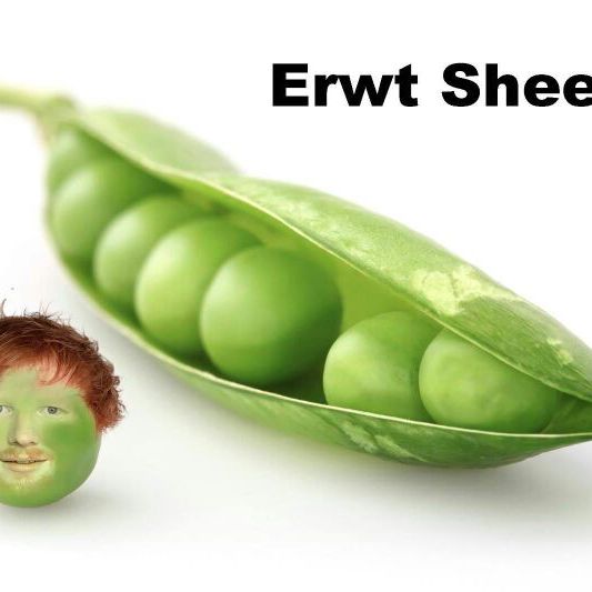 Profile Picture of David Kolkman (@davido023) on Tiktok