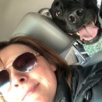 Profile Picture of Robin Stickler (@sticklerrobin) on Instagram