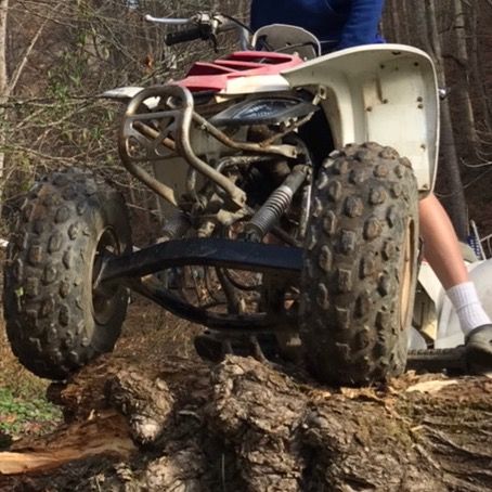Profile Picture of riding_and_other_stuff (@michael_riding) on Tiktok