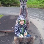 Profile Picture of Kelly Engel (@kelly.engel.1) on Instagram