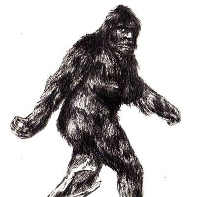 Profile Picture of  🌲Andy  👣from  👣Oregon 🌲 (@AndrewFmOregon) on Twitter