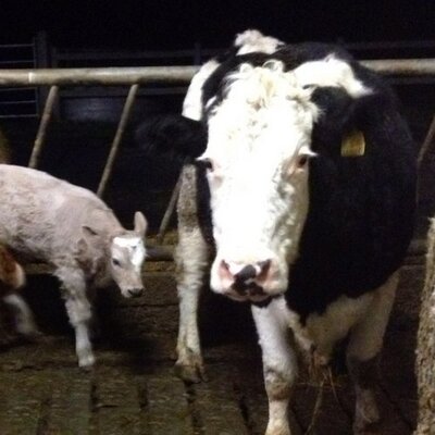 Profile Picture of Colm Duffy (@colmpduffy) on Twitter