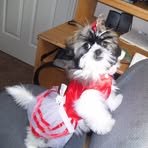 Profile Picture of Joann Sherrill (@joann.sherrill.54) on Facebook