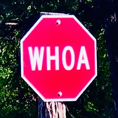 Profile Picture of John Stone (@jstone9927) on Twitter