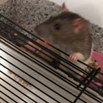 Profile Picture of Daryl Davidson (@daryldavidson39) on Instagram