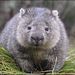 Profile Picture of Kieran Jeffery (@kjeffery21) on Pinterest