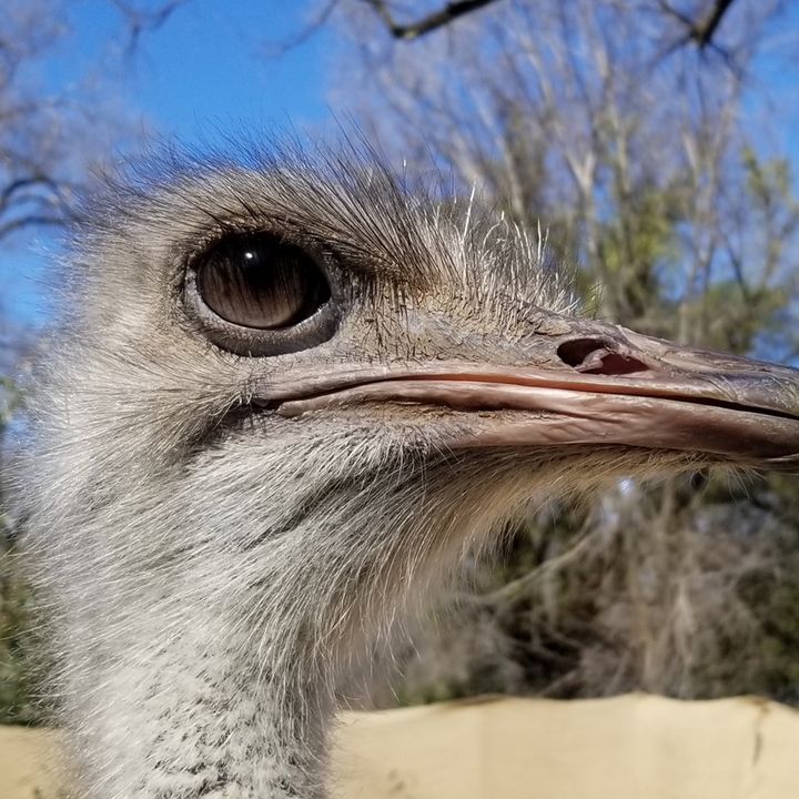 Profile Picture of michaelciriaco (@michaelciriaco_) on Tiktok