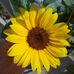 Profile Picture of Virginia Hatch (@virginia.hatch.7) on Facebook