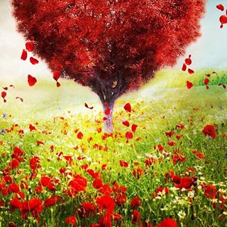 Mario Lalli - Facebook Profile Picture of Mario Lalli (@mario.lalli.940) on Facebook