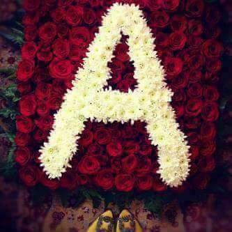 Profile Picture of Abeer Odeh (@AbeerOdeh8) on Twitter