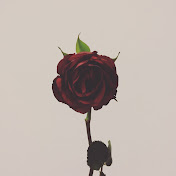 Profile Picture of Aaron Holley (@aaronholley842) on Youtube