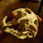 David Skagerlind - Instagram Profile Picture of David Skagerlind (@davidskagerlind) on Instagram