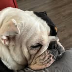 Profile Picture of Byron Lowe (@byron.lowe.670002) on Facebook