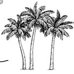 Profile Picture of Daniel_Wesley_De_Oliveira (@danieldeoliveira.99) on Instagram