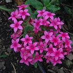 Ruby Amparo Garcia Tamayo - Instagram Profile Picture of Ruby Amparo Garcia Tamayo (@rubyamparogarcia) on Instagram