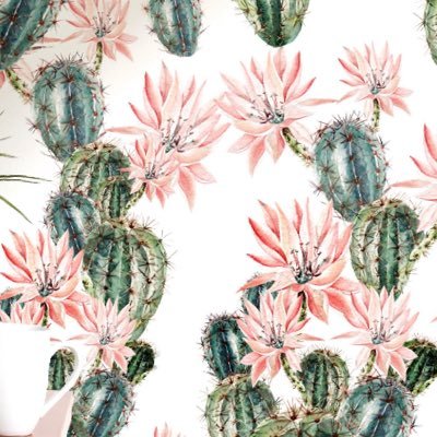 Profile Picture of Deanna Crawford (@deannacrawford) on Twitter