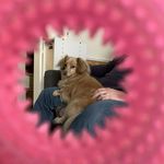 Profile Picture of Sean Hoopes (@hoopessean) on Instagram