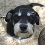 Profile Picture of Shirley Neal (@shirleyfoutch) on Instagram