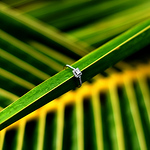 Profile Picture of Fatima Toledo (@sociales.imagen) on Flickr