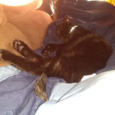 Profile Picture of Nick Philpott (@blade92371) on Twitter