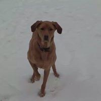 Profile Picture of Brian Barge (@brian-barge-2) on Quora