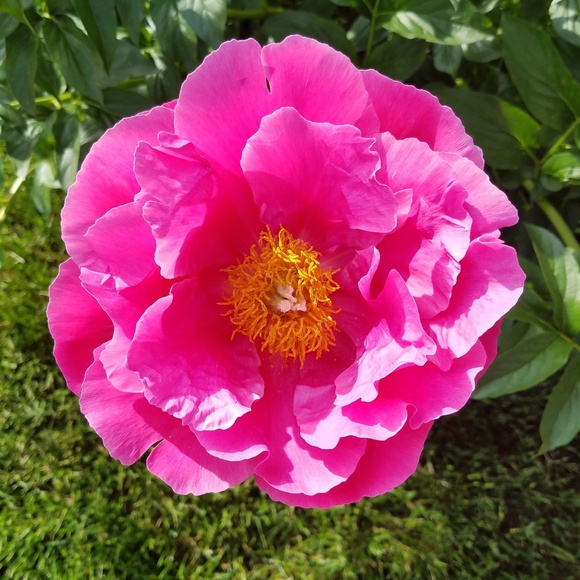 Profile Picture of Sherry Bennett (@sls16883) on Poshmark